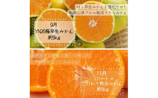 【全6回定期便】奇数月にお届け♪【産直】野菜＆フルーツ定期便！キウイ・不知火・アイコトマト・桃・極早生みかん・有田みかん【tkb358】