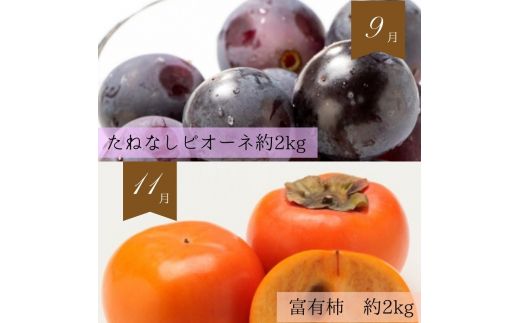 【全6回定期便】奇数月にお届け♪旬の野菜とフルーツ定期便！キウイ・清見オレンジ・アイコトマト・桃・ピオーネ・富有柿【tkb357】