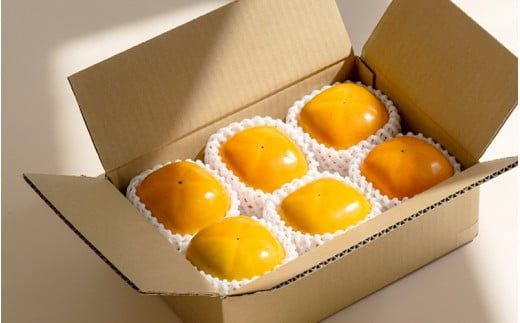 【2026年先行予約】種無し柿 早生刀根柿 2026年9月末頃～10月末頃に順次発送予定（お届け日指定不可）/ 和歌山 柿 かき フルーツ 果物 くだもの 刀根 種無し【kgr003A】