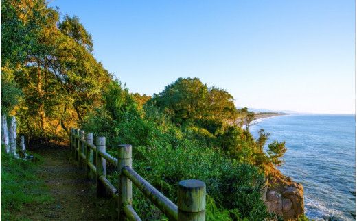 新宮市 ガイドと歩く歴史探訪ツアー　選べる新宮の魅力巡り / 熊野 世界遺産 天然記念物 自然 神社【skk008】