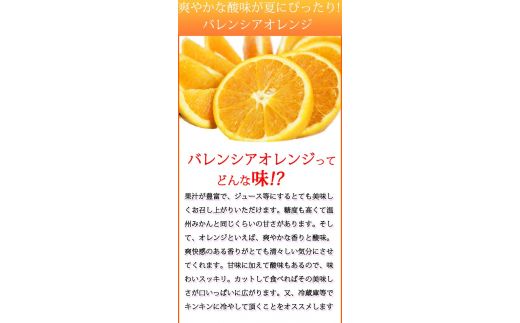 秀品　希少な国産バレンシアオレンジ　2.5kg　※2025年6月下旬頃～7月上旬ごろ順次発送予定（お届け日指定不可）【uot752】