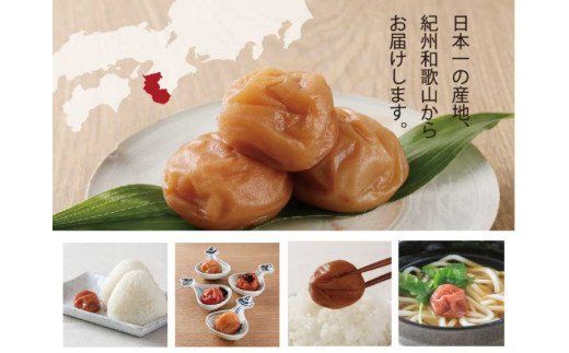 しそかつお梅干し500g　紀州南高梅うめぼし和歌山産(化粧箱入)【sgtb281A】