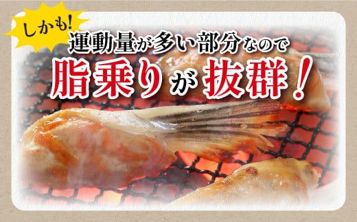  貴重！エンペラーサーモンの希少部位！ 1kg（約15枚入） 腹ビレ肉 通称「グリ」 1尾から2個しか取れない 脂乗り抜群 ふるさと納税 ハラス 鮭ハラス ふるさと納税 鮭 サーモン サケ シャケ お