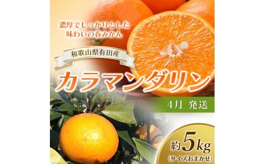 【全3回】フルーツ定期便 季節の美味しさ詰合せ！/フルーツ 果物 カラマンダリン 不知火 キウイ 柑橘 旬 定期便【tkb151】