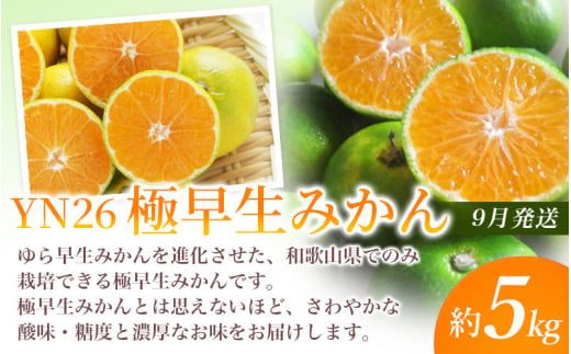 【定期便】夏の人気フルーツ定期便！桃・ピオーネ・極早生みかん（全3回）/ フルーツ 果物 もも モモ ぶどう ブドウ みかん ミカン 柑橘 旬 定期便  【tkb153】