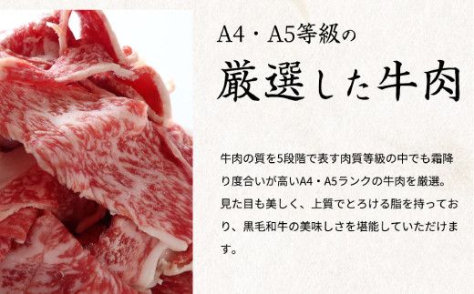 熊野牛A4以上ヒレシャトーブリアンステーキ200g(100g×2枚)＆霜降り赤身こま切れ300g【uot745】