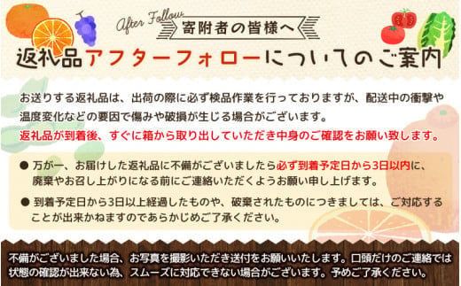 ＜2月より発送＞家庭用 はるみ1.5kg+45g（傷み補償分）【デコポンの姉妹品種・新食感春みかん】【光センサー選別】【わけあり・訳あり】【ikd142】