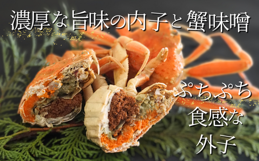 【セコガニ 約120g×6匹 釜茹で 冷凍】11月中旬以降発送 濃厚 かにミソ 内子 外子 数量限定 産地直送 鮮度抜群 香美町 香住  カニ  松葉ガニ せいこがに メスガニ 親ガニ 日本海フーズ 