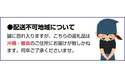 【ご家庭用訳アリ】紀州有田産清見オレンジ　5kg 	※2025年3月下旬〜2025年4月中旬頃に順次発送予定(お届け日指定不可)【uot833】