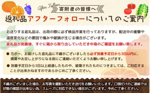 【新鮮・産直】和歌山かつらぎ町産たねなしピオーネ約3kg ※2025年8月中旬～2025年9月下旬頃順次発送【tec952A】