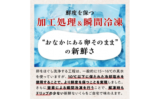 いくら醤油漬 鱒卵 200g いくら イクラ 小分け イクラ醤油漬 いくら醤油漬け イクラ醤油漬け ikura 醤油いくら 醤油イクラ 冷凍いくら 冷凍イクラ 人気いくら 人気イクラ 大人気いくら人気