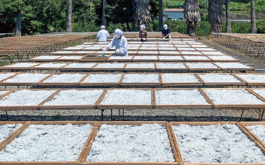 特選　釜揚げしらす400ｇ【mef002-1A】