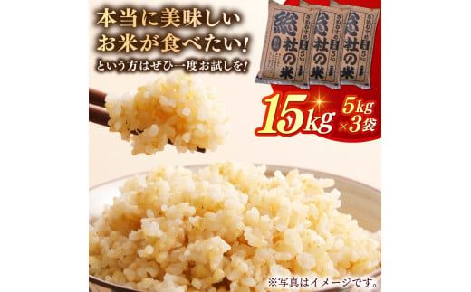 【令和7年産米】特Aきぬむすめ【玄米】15kg 岡山県総社市〔令和7年11月配送〕25-024-013