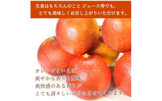 希少な柑橘!紀州有田産ブラッドオレンジ約5kg 【ご家庭用】※2026年3月上旬頃～3月中旬頃に順次発送 (お届け日指定不可) 【uot853】