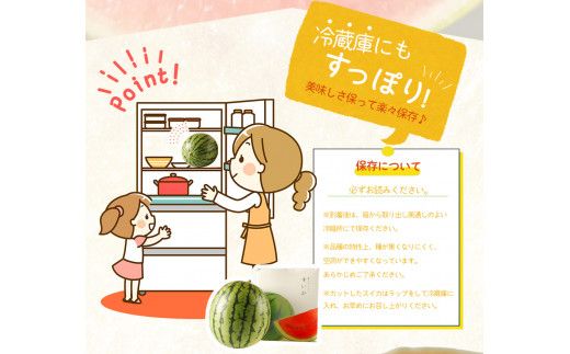 紀州和歌山産小玉スイカ「ひとりじめ」１玉【予約】※2026年6月上旬頃～7月上旬頃に順次発送予定(お届け日指定不可) スイカ すいか 果物【uot778】