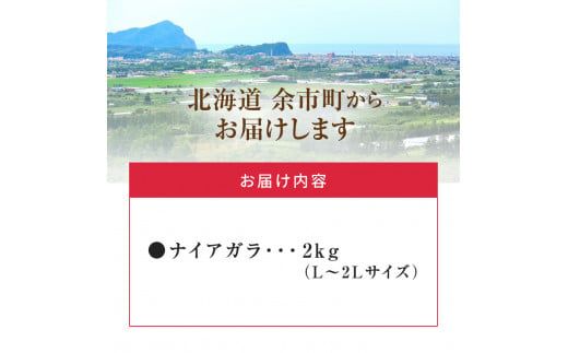 【2024年9月中旬以降発送】フルーツ王国余市産「ナイアガラ」2kg_Y074-0104