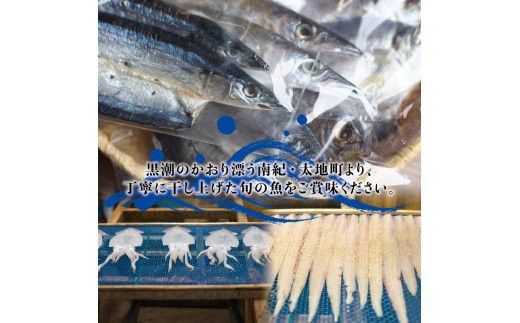 干物セット 満足の内容量！ カマスの開き15枚セット ／ 干物 ひもの カマス 家庭用 定番【sio114】