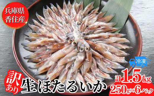 【先行予約】【訳あり ほたるいか 小分け 250g×6パック 1.5kg 香住産 冷凍】令和７年２月下旬以降順次発送予定 刺身でも食べられる美味しいホタルイカをぜひ。兵庫県はホタルイカ水揚げ日本一！ ホタルイカ いか 生ほたるいか 便利 兵庫県 香住 日本海 珍味 海鮮 刺し身 生食 しゃぶしゃぶ グルメ ギフト ふるさと納税 10000円 一万円 以下 日本海フーズ にしとも かに市場 07-02