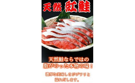 【天然鮭使用】大ボリューム！和歌山県 魚鶴仕込の天然紅サケ切身 約2kg（約18切れ～22切れ） / 鮭 シャケ 魚 切り身 焼き魚 ご飯のおとも おかず おつまみ【uot401C】