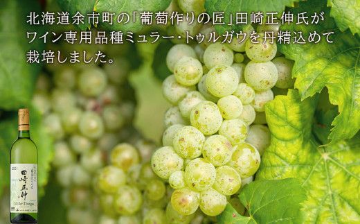 【北海道ワイン】【 葡萄作りの匠 田崎正伸 】 2種 飲み比べセット 余市 北海道 白ワイン 2本 セット ピノノワール ミュラートゥルガウ 余市のワイン 国産ワイン _Y020-0437