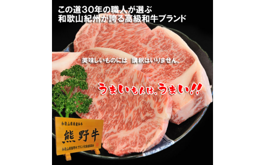 プレミアム熊野牛 焼肉 ４８０ｇ / 牛肉 肉 牛 焼き肉 和牛 牛 贈り物【kbs005】