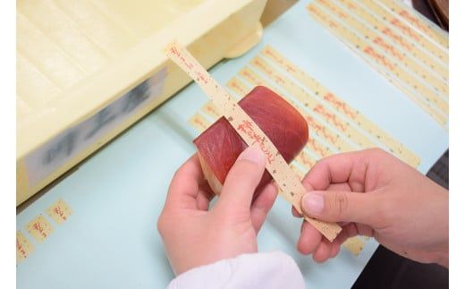 【2026年4月お届け】 御菓子所 川上屋 柿の美きんとん 10個入り F4N-1904