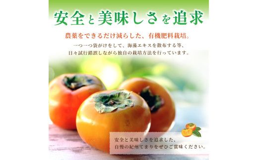 紀州てまり（和歌山県ブランド柿）6～7個入 こだわり農家厳選 先行予約 【2026年10月初旬頃から11月中旬頃順次発送】 / 柿 フルーツ 果物 かき 和歌山 かつらぎ 農家直送 贈答【kgr029】