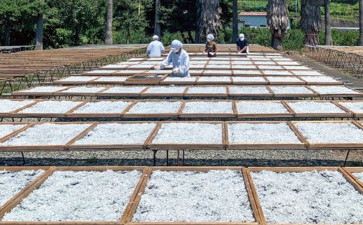 釜揚げしらすとしらすポン酢セット【mef003-1A】