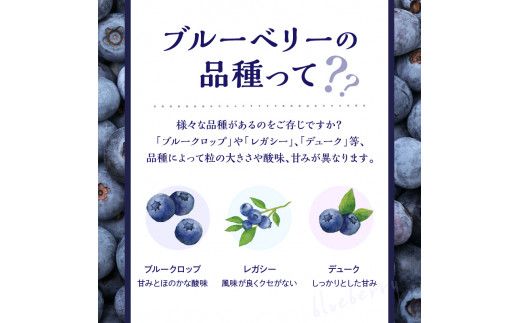 【先行予約：2025年7月25日以降発送】青果ブルベリーおまかせ２品種食べ比べセット1Kg（500g×2パック）＜アイケイファーム余市＞_Y111-0004