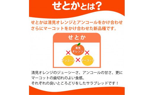 とろける食感 ジューシー柑橘 せとか 約2.5kg みかん 蜜柑 柑橘 オレンジ 果物 フルーツ 国産 和歌山県広川町 ※2025年2月上旬頃～2月下旬頃に順次発送予定【uot789】