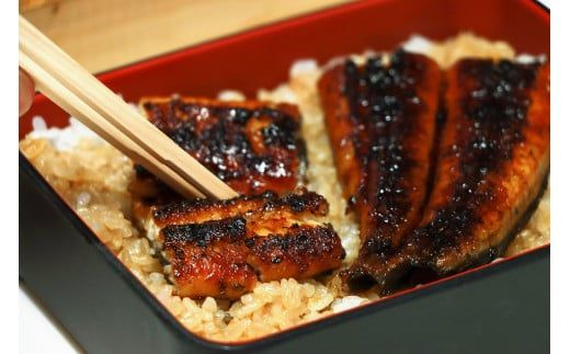 【全6回定期便】極上！国産うなぎ蒲焼 1尾×6回 計6尾 約1200g 創業100年以上続く老舗 紀州備長炭でじっくり焼き上げた専門店の味 （タレ・山椒付き）【tkb316】