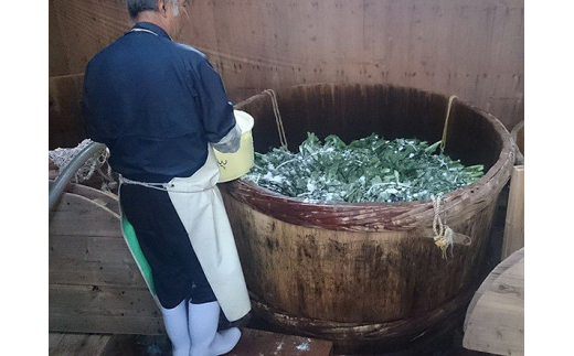 【新宮名物】めはり漬セット【めはり寿司】【kbs015A】