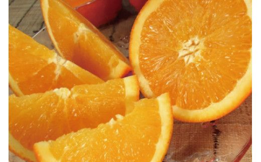 ネーブル 約4.5kg/サイズおまかせ　※2026年1月中旬～2026年2月中旬頃に順次発送予定(お届け日指定不可)　紀伊国屋文左衛門本舗　【ntbt431C】