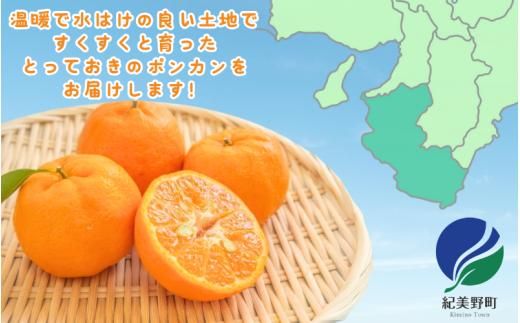 秀品 ポンカン 2kg ※箱込み 【S~2Lのサイズおまかせ】【2026年1月下旬から2月中旬頃に順次発送】＜味好農園＞/ ぽんかん 蜜柑 みかん 柑橘 果物 フルーツ 【agy027】