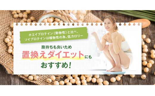 DAYS SOY PROTEIN 抹茶ラテ 風味 計500g（250g×2袋）プロテイン ワークアウト 筋肉 筋トレ 減量