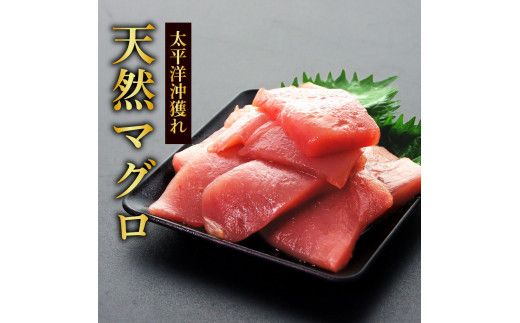 ～四国一小さなまち～ 天然マグロ切り落とし1kg×訳あり鰹のタタキ1.5kg まぐろ 鮪 かつおのたたき スライス 刺身 刺し身 さしみ 魚介 海鮮 惣菜 赤身 藁焼き わけあり 規格外 傷 訳アリ