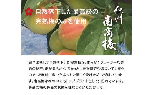 はちみつ梅干し1kg [中玉]２Ｌサイズ 紀州南高梅うめぼし和歌山産(化粧箱入)【ntbt250】