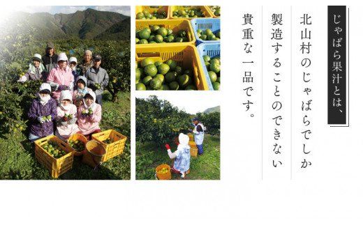 【プレミア和歌山】じゃばら果汁360ml×2本 【njb211-y2】