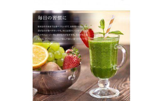 【ふるさと納税】じゃばらパウダー100g×2袋【njb381-y2A】