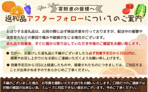 【厳選・濃厚】紀州有田産のはるみ 4kg(2L～3Lサイズおまかせ) ※2025年1月下旬～2025年2月中旬頃より順次発送(お届け日指定不可)【tec820A】