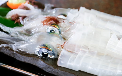 先行予約【兵庫県香住産 白いか 剣先いか お刺身用 新鮮 5～8杯 約1kg 冷凍】令和8年6月下旬以降、順次発送予定 国産 香住 鮮度抜群 急速冷凍 産地直送 刺身 イカ焼き イカフライ 人気 おすすめ 兵庫県 香美町  宿院商店 33-07