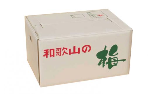 【梅干・梅酒用】（4Lまたは3L－2Kg）熟南高梅＜2025年6月上旬～7月上旬ごろに順次発送予定＞  / 梅 青梅 梅干 梅干し 大容量 梅酒 お酒【art006A】