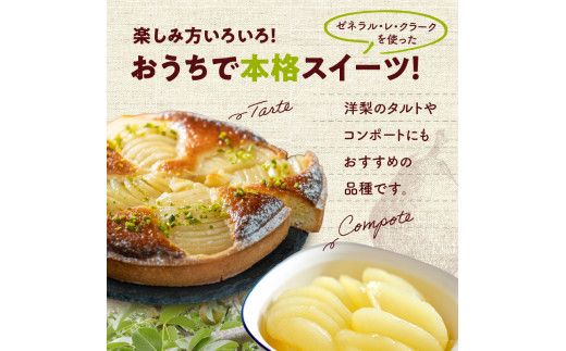 【先行受付：2026年10月中旬以降発送分】洋梨（ゼネラル・レ・クラーク） 5kg 香り豊か 甘味が強い 程よい酸味 北海道 余市 季節限定 フルーツ デザート_Y010-0654