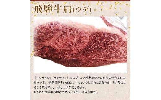 「肉の芸術品」飛騨牛切り落とし（モモ、肩、バラ）600g【用途は様々！焼肉、BBQ、すき焼き、煮物、牛丼、炒め物など】 F4N-1697