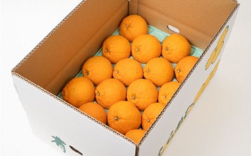 【先行予約】 ＼ みかんの名産地 和歌山県産／ 農家直送 不知火 約5kg(18～24玉) ひとつひとつ手選別で厳選【2025年3月中旬～4月下旬ごろに順次発送予定】【hdm002】