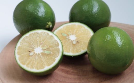 はぎファームの訳ありマイヤーレモン ３kg 【2025年10月～2026年1月下旬の期間で順次発送】 / レモン 国産 マイヤーレモン 数量限定  訳あり【hgf003A】