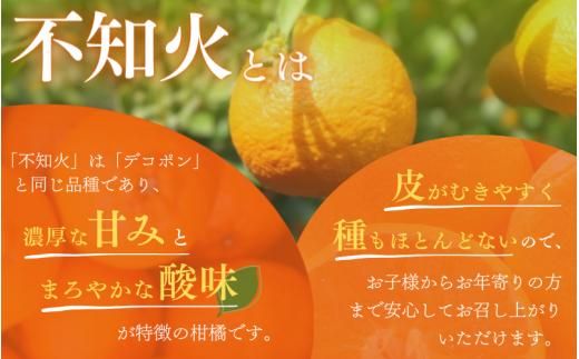 【先行予約】秀品 ハウス不知火 5kg【L～4Lのサイズおまかせ】【2026年1月下旬から2025年２月下旬頃に順次発送】＜味好農園＞/不知火 デコポン 蜜柑 みかん 柑橘 果物 フルーツ 【agy0