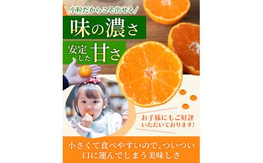 温州みかん 「小粒っこ」 4g ※箱込み (極早生・早生・中生・晩稲)【2S～3Sサイズおまかせ】【2025年10月中旬～2026年1月下旬までに順次発送】＜味好農園＞/温州 みかん 小玉 蜜柑 柑橘