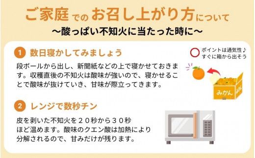 【濃厚】 有田 の 不知火 約 5kg （12玉〜20玉おまかせ） / 甘い 和歌山 柑橘 ※2027年2月下旬～3月下旬頃順次発送予定 （日付指定不可）【tec010-r-12】