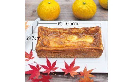 【ココでしか食べられない】柑橘じゃばらのチーズケーキ 3～4人分 【北山村オリジナル】【njb610】